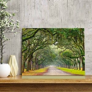 A Path In The Oak Printed Canvas Painting